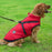 Pet Dog Jacket with Harness Winter Warm Dog Clothes Waterproof Outfits